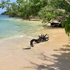 Guadeloupe, Grande Terre, Anse du Gris-Gris beach