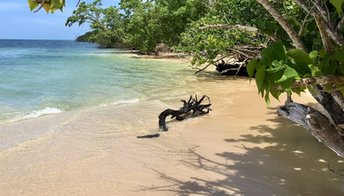 Guadeloupe, Grande Terre, Anse du Gris-Gris beach