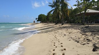 Guadeloupe, Grande Terre, Anse Montal beach