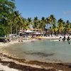 Guadeloupe, Grande Terre, Bas du Fort beach, algae