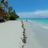 Guadeloupe, Grande Terre, La Datcha beach (left)