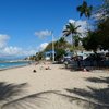 Guadeloupe, Grande Terre, La Datcha beach, palms & trees