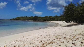 Guadeloupe, Grande Terre, Pointe d'Antigue beach