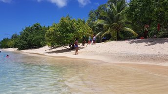 Guadeloupe, Grande Terre, Port Louis, Anse du Souffleur beach