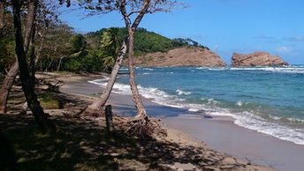 Martinique, Anse Azerot beach