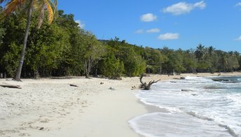 Martinique, Anse Corps de Garde beach