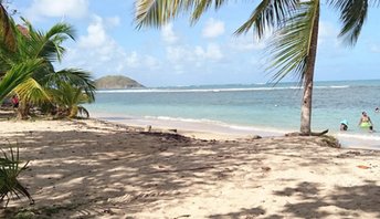 Martinique, Anse Cosmy beach
