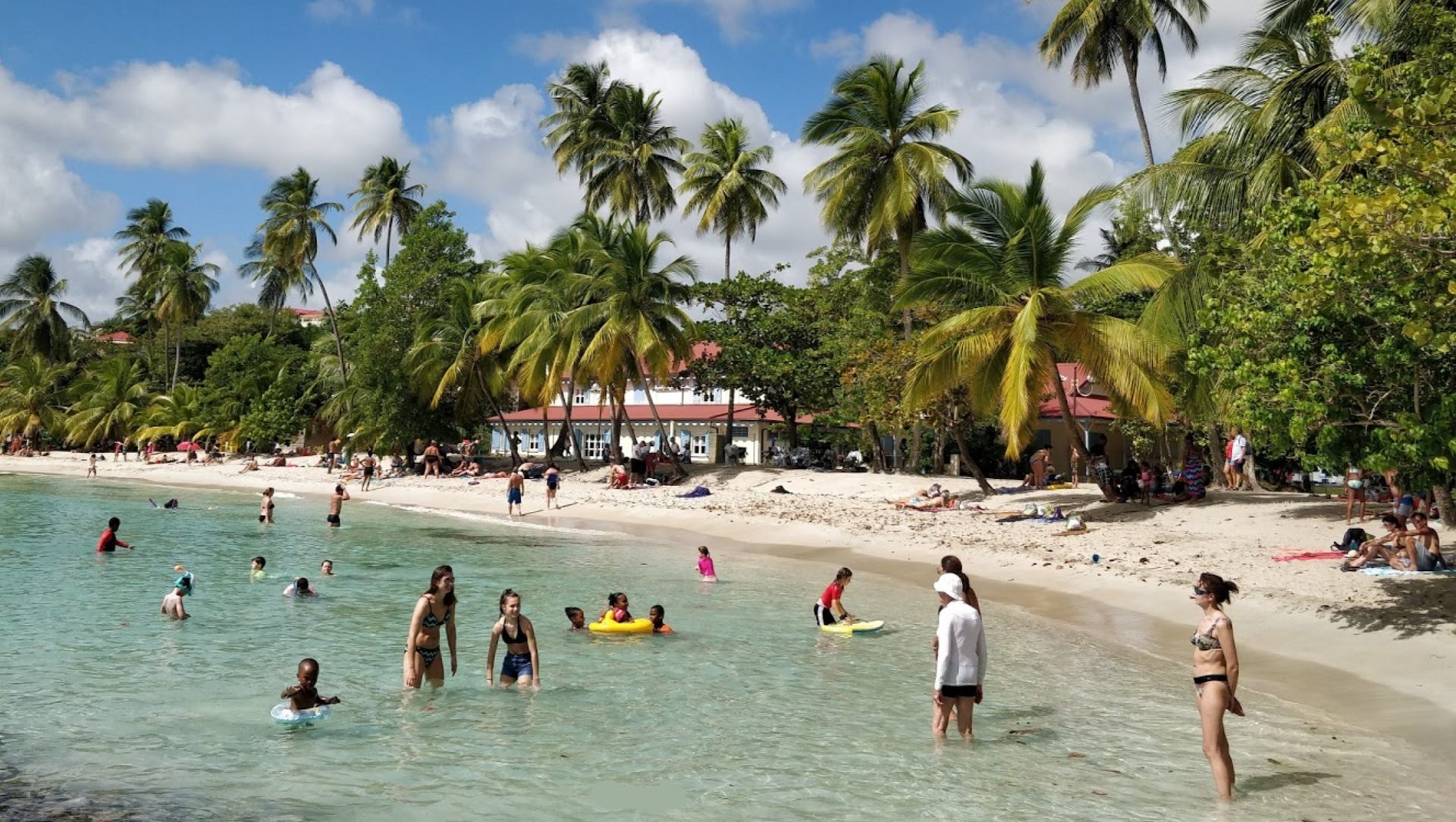 Anse Figuier beach, Martinique Ultimate guide (March 2024) Anse Figuier beach, Martinique Ultimate guide (March 2024)