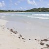 Martinique, Anse Trabaud beach