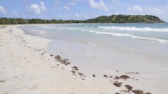 Martinique, Anse Trabaud beach