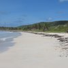 Martinique, Anse Trabaud beach, view to west