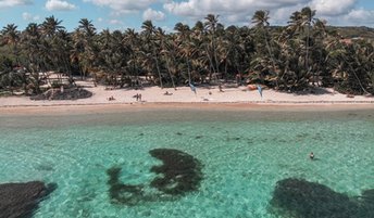 Martinique, Cap Chevalier beach, aerial view