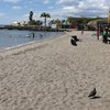 Мартиника, Пляж Каз-Навир, песок