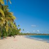 Martinique, Grande Anse des Salines beach