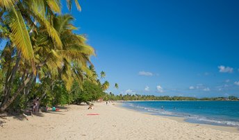 Martinique, Grande Anse des Salines beach
