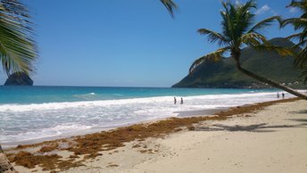Martinique, Grande Anse du Diamant beach