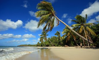 Martinique, Grande Terre beach