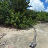 Martinique, Gros Raisins, west beach (left)