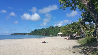 Martinique, Raisiniers beach