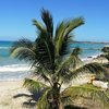 Saint Lucia, Gros Islet beach, ugly huts