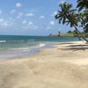 Saint Lucia, Laborie Bay beach, wet sand