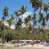 Saint Lucia, Marigot Bay beach, palms