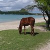 Saint Lucia, Rodney Bay beach