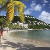 Saint Lucia, Windjammer beach, palm