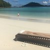 Seychelles, Mahe, Port Launay beach, sunbed