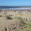 Argentina, San Clemente del Tuyu beach, grass