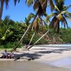 Grenada, La Sagesse beach, palms