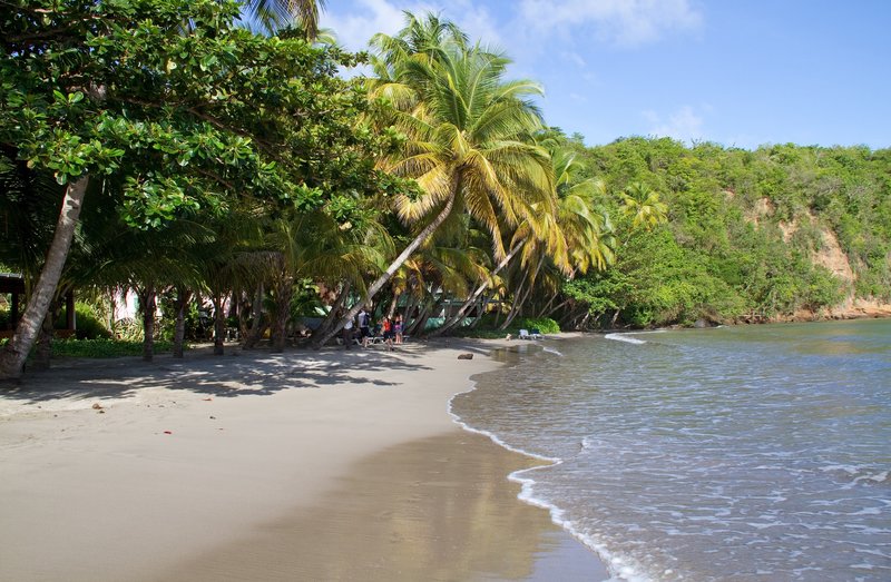 11 Best beaches in Grenada Ultimate guide (August 2024)
