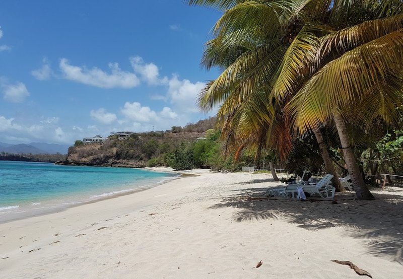 laluna-beach-grenada-ultimate-guide-january-2026