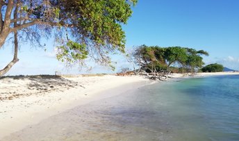 Grenadines, Union Island, Miss Irene Beach