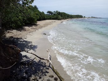 Guadeloupe, Basse Terre, Anse de Nogent beach
