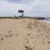 Guadeloupe, Basse Terre, Anse de Nogent beach, west, left