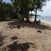 Guadeloupe, Basse Terre, Anse des Iles beach, sand