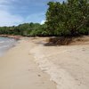 Guadeloupe, Basse Terre, Anse des Iles beach, wet sand