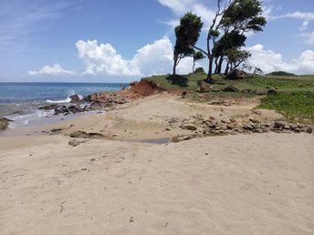 Guadeloupe, Basse Terre, Anse du Petit Fort beach