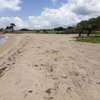 Guadeloupe, Basse Terre, Anse du Petit Fort beach, trees