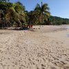 Guadeloupe, Basse Terre, Anse Rifflet beach, two palms