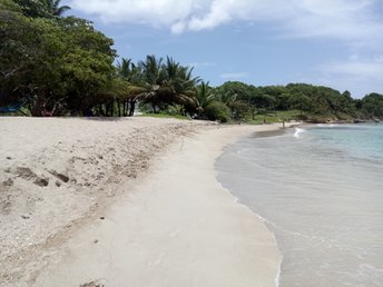 Guadeloupe, Basse Terre, Anse Vinty beach