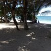 Guadeloupe, Basse Terre, Anse Vinty beach, shady spot