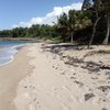 Guadeloupe, Basse Terre, Anse Vinty beach, water edge