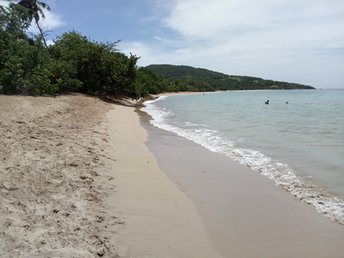 Guadeloupe, Basse Terre, Cluny beach, east (left)