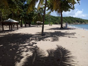 Guadeloupe, Basse Terre, Des Amandiers beach, west