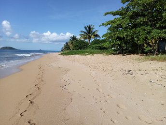 Guadeloupe, Basse Terre, Moune beach