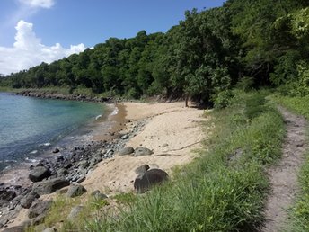 Guadeloupe, Basse Terre, Point De Vue De Gadet beach