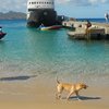 Mayreau, Saline Bay beach, Gem Star