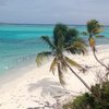Tobago Cays, Jamesby island, beach, palms